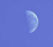 11th Jun 2023 - The day moon..