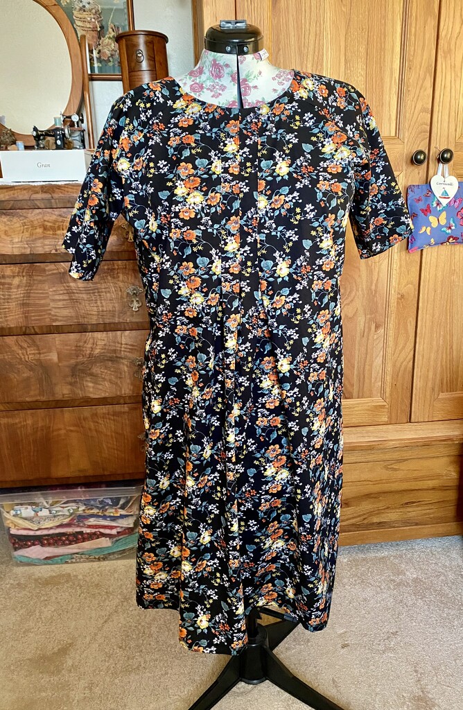 New Dress by gillian1912
