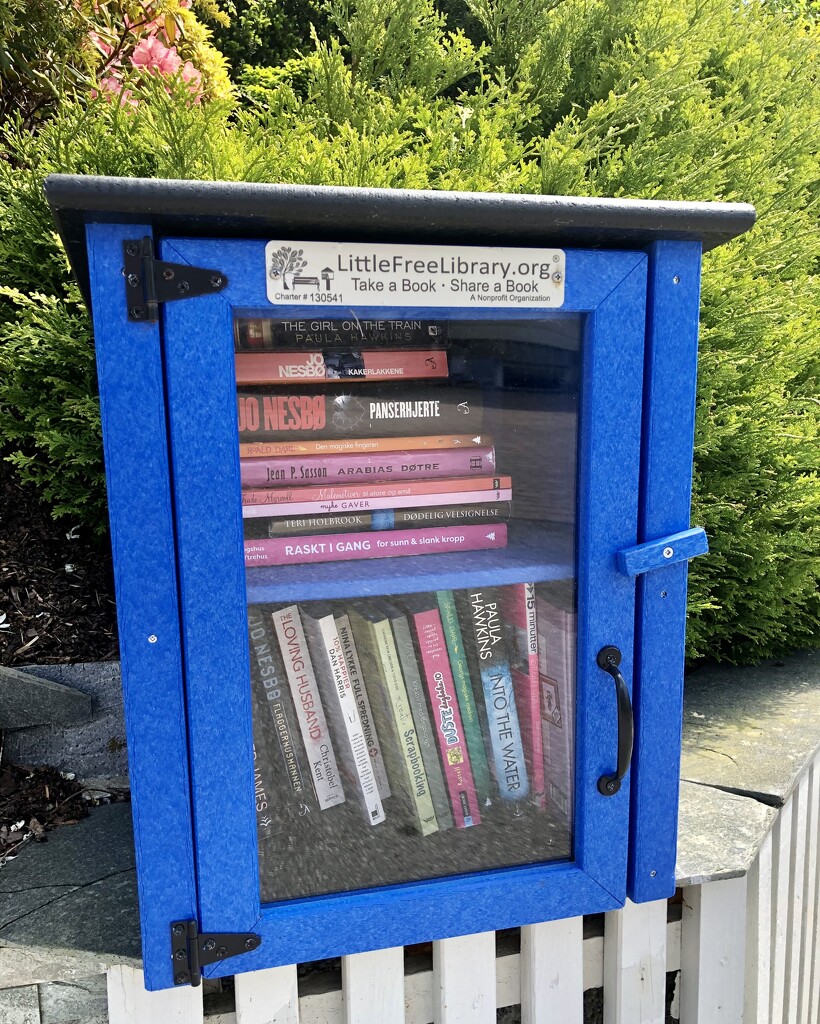 Little Free Library by clearlightskies