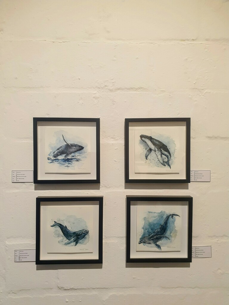 Paula's whales by eleanor