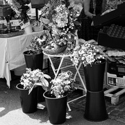 10th Jun 2023 - Flower market 