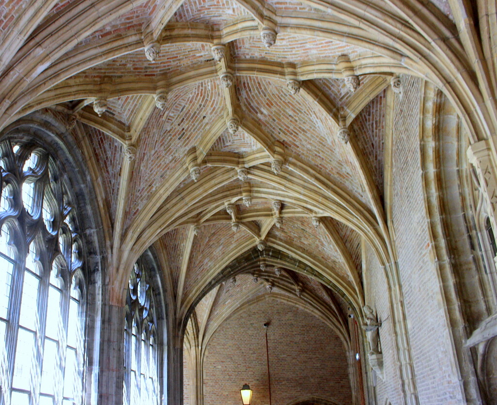 Vaults and windows of a cloister by pyrrhula
