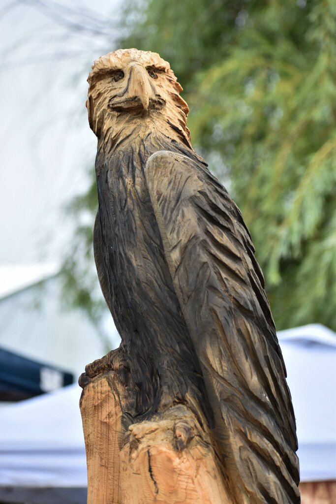 Eagle Carved By Chainsaw by bjywamer