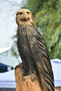 10th Jun 2023 - Eagle Carved By Chainsaw