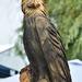 Eagle Carved By Chainsaw by bjywamer