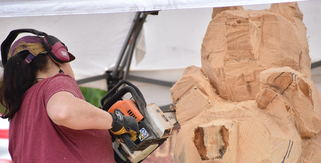 Our Friend At Work On Her Major Carving... by bjywamer