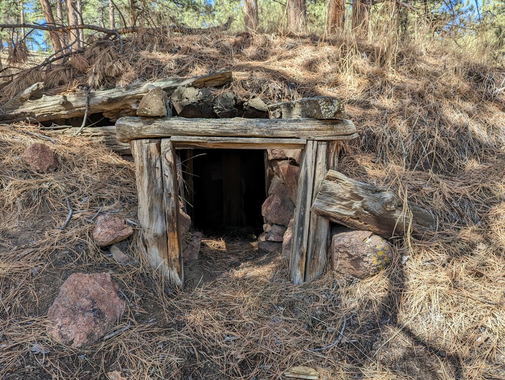 Root Cellar by harbie