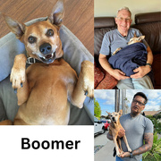 12th Jun 2023 - Boomer Boy