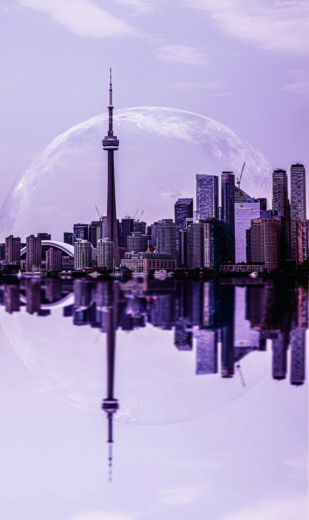 Toronto Reflections by pdulis