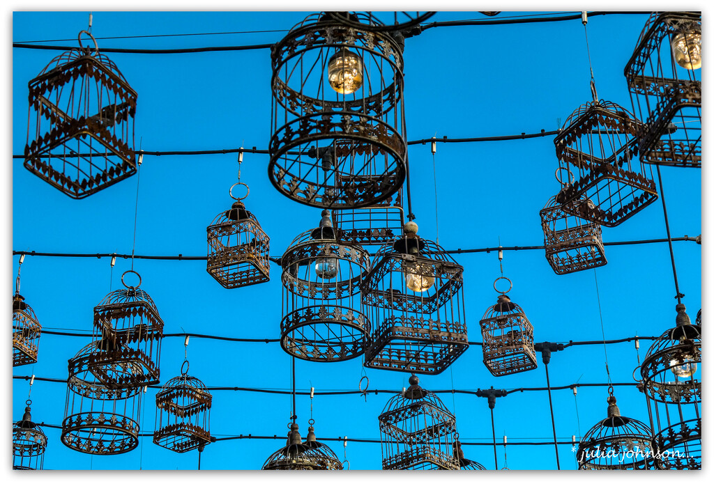 Roof Top Bird Cages.. by julzmaioro