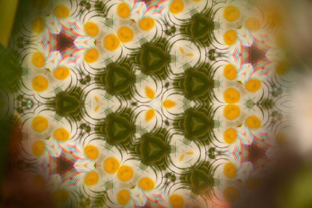 Kaleidoscope........ by ziggy77