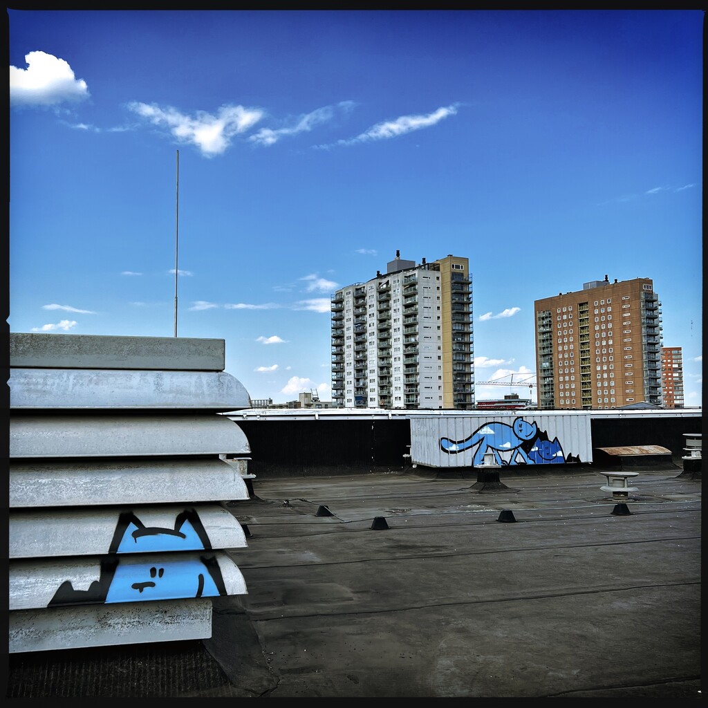 Rooftop life by mastermek