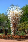 13th Jun 2023 - Chihuly sculpture