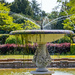 Belton House Fountain... by carole_sandford