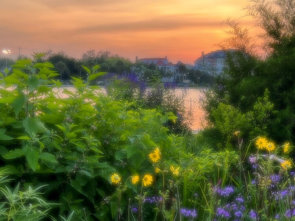 Colonial Lake Park at sunset by congaree