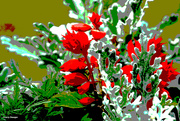 13th Jun 2023 - Red amongst the green artistic