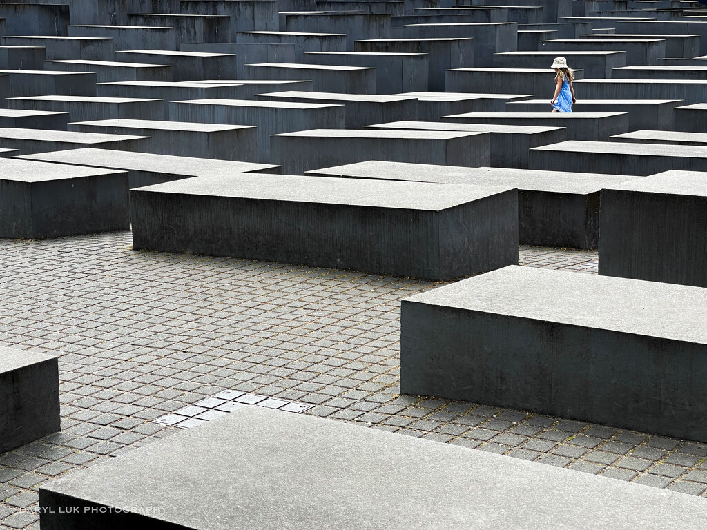 D158 The Memorial to the Murdered Jews of Europe by darylluk