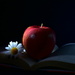 Apple a day... by jayberg