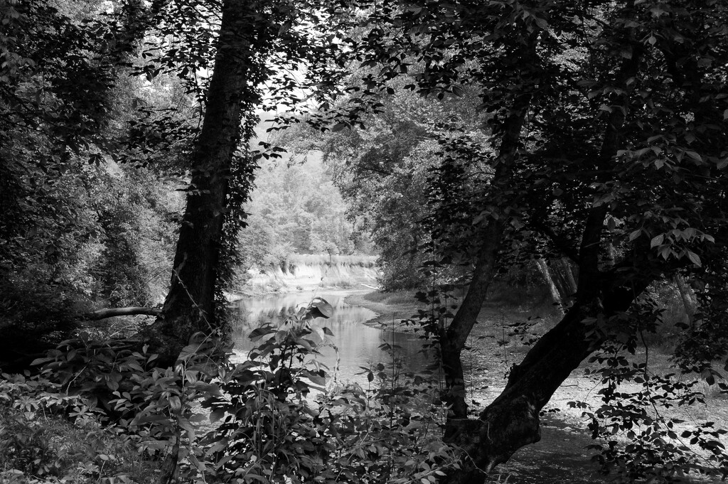 creek scene by francoise