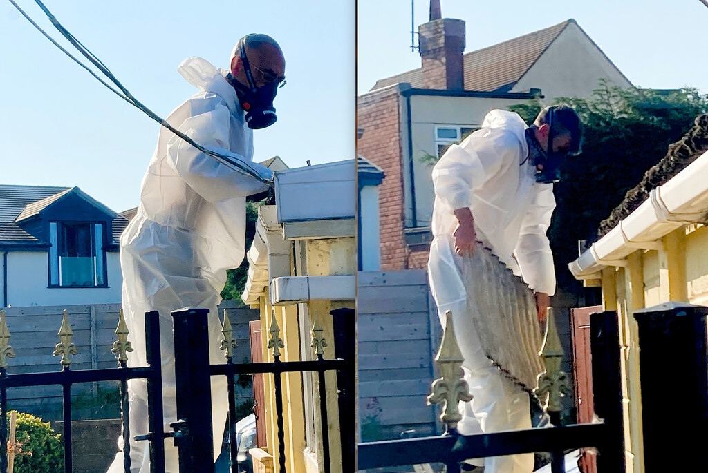 Suited, Masked and Protected Asbestos Removal by allsop