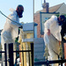 Suited, Masked and Protected Asbestos Removal by allsop