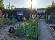 14th Jun 2023 - The entrance gate to the allotments 