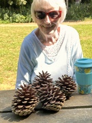 14th Jun 2023 - Collecting pine cones