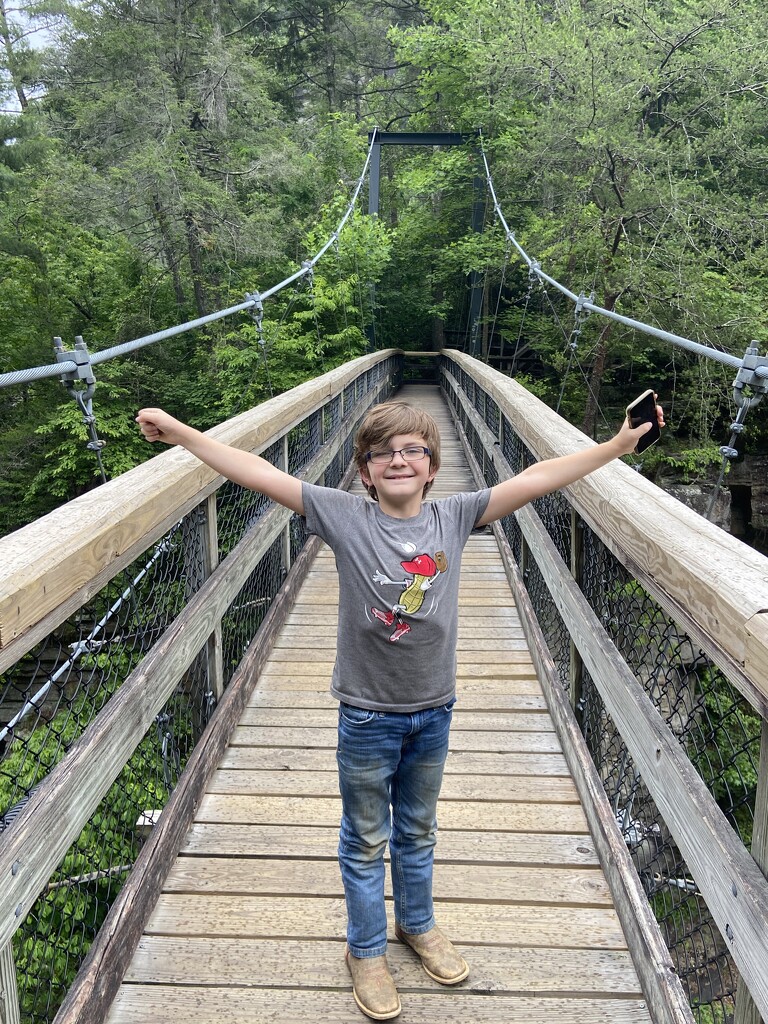 Made it to the suspension bridge  by rontu