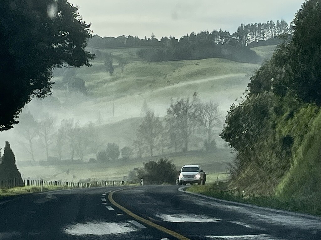 A little misty drive to Whangarei this morning  by Dawn