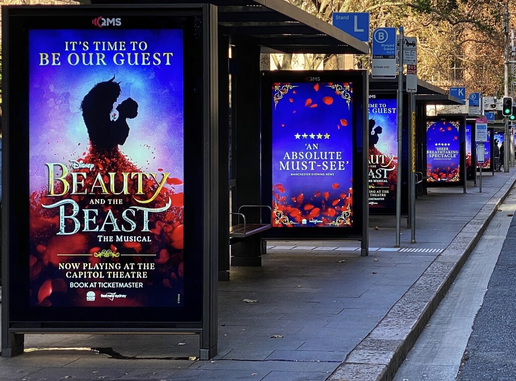 Beauty and the Beast bus stop advertising in central Sydney.  by johnfalconer