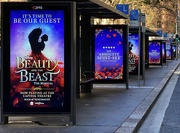14th Jun 2023 - Beauty and the Beast bus stop advertising in central Sydney. 