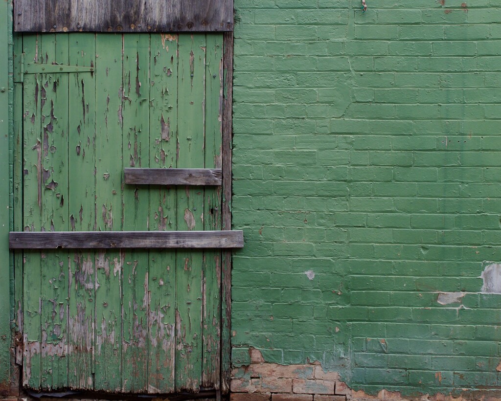 Green Door...P6142811 by merrelyn