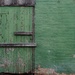 Green Door...P6142811