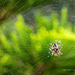 Life on the web by nigelrogers