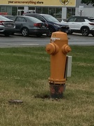 15th Jun 2023 - H Is for Hydrant