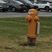 H Is for Hydrant by spanishliz