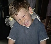 16th Jun 2023 - Our nephew and our cockatiels