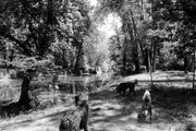 14th Jun 2023 - dogs at creek