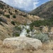 Stream at Sequoia National park by ggshearron