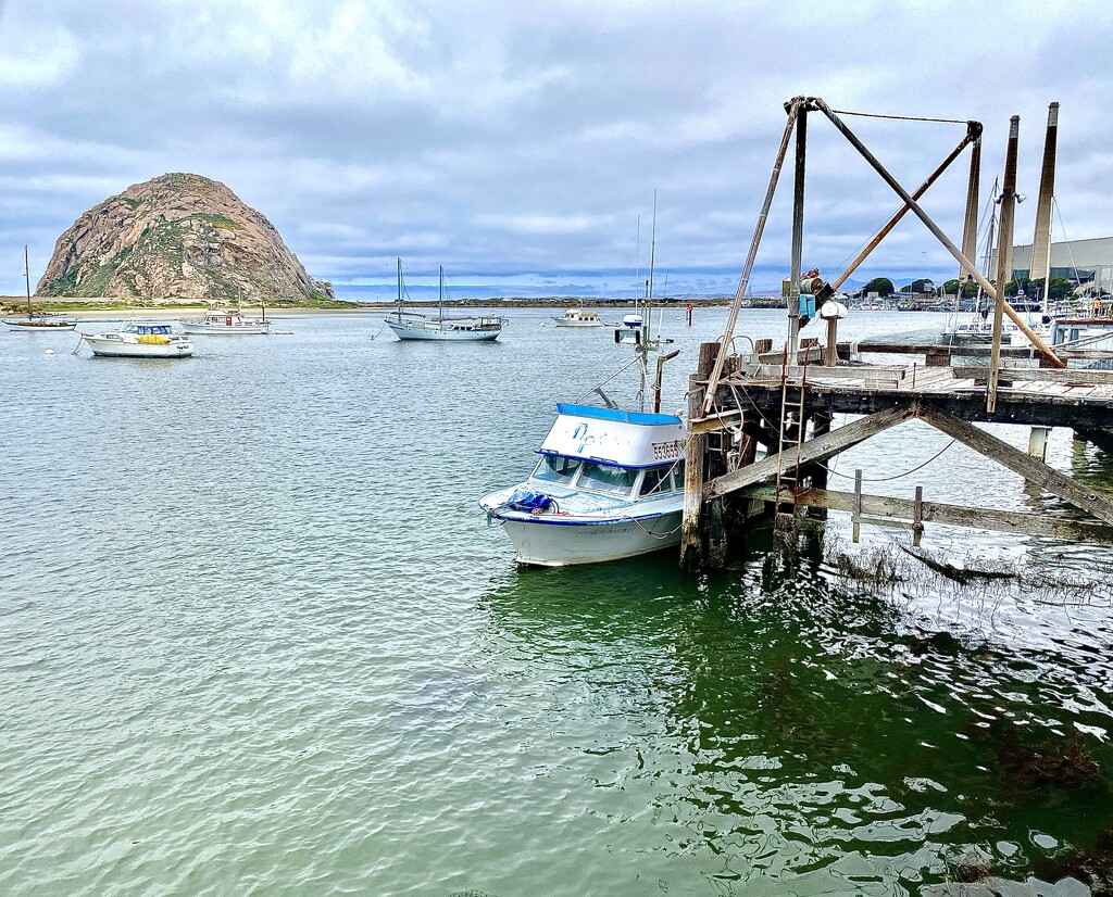 View from restaurant during lunch in Morro Bay, Ca.  by ggshearron