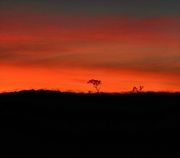 2nd Jun 2023 - Sunrise in the Kimberley