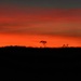 Sunrise in the Kimberley by robz