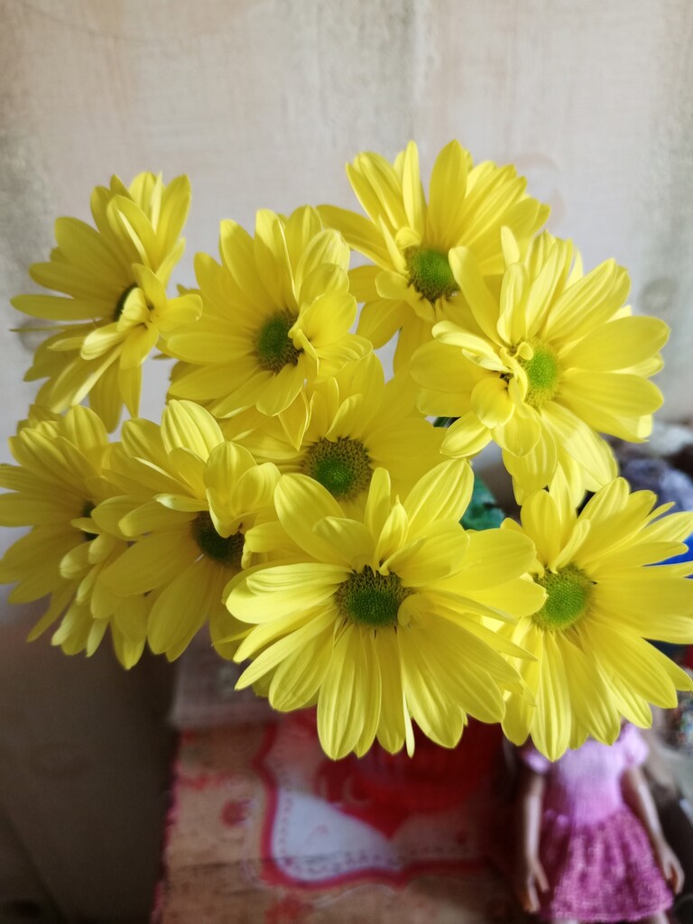 I bought myself one cut bush of yellow chrysanthemums. by nyngamynga