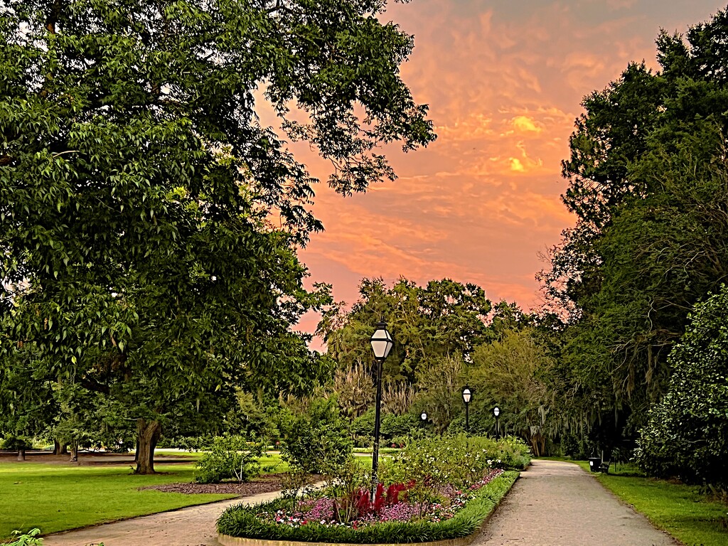 Hampton Park Sunset by congaree