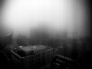 13th Jun 2023 - foggy morning