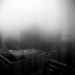 foggy morning by northy