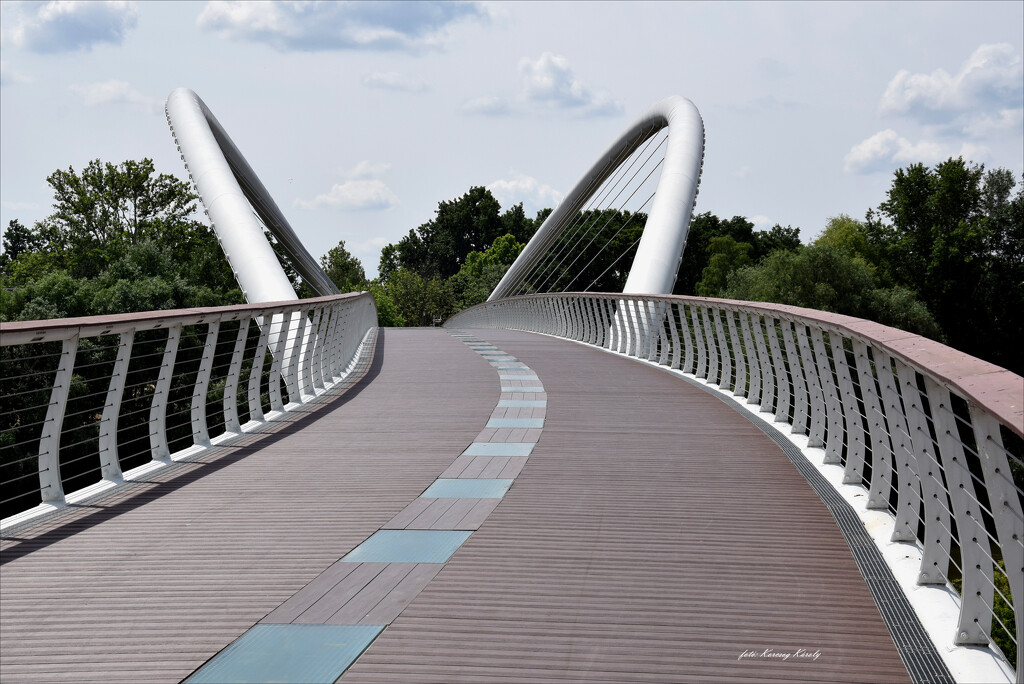 A pedestrian bridge over the Tisza river by kork
