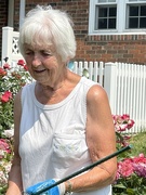 10th Jun 2023 - Our local "rose lady" tends hundreds of roses and shares them with the sick and hurting.  She is in her 80's and receives very little help from others.  She is a former nun and many of us feel she is an angel on earth.