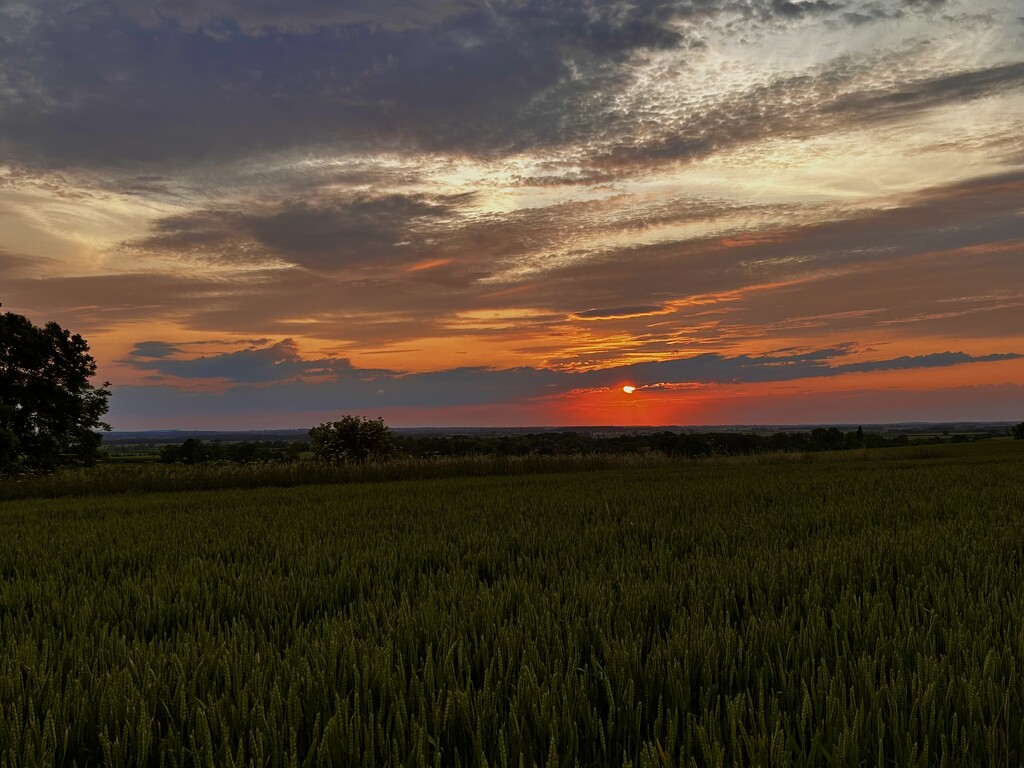 Sunset by phil_sandford
