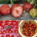Strawberries Collage by pcoulson